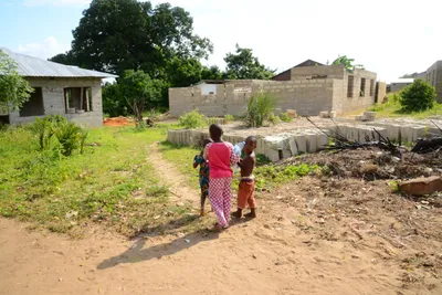 DSC_8683 (Large).JPG